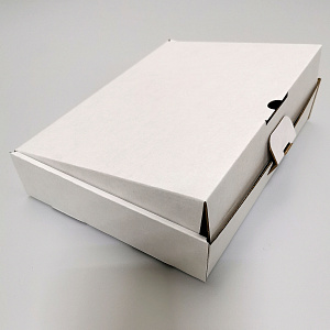 Коробка самосборная Белая микрогофрокартон 203х253х40мм для плакетки 20х25 (1/20)